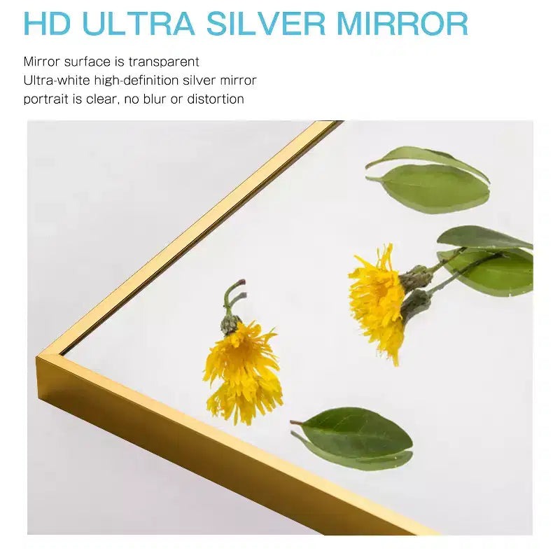 Miroir mural décoratif suspendu, rectangulaire moderne, en aluminium noir à bord fin
