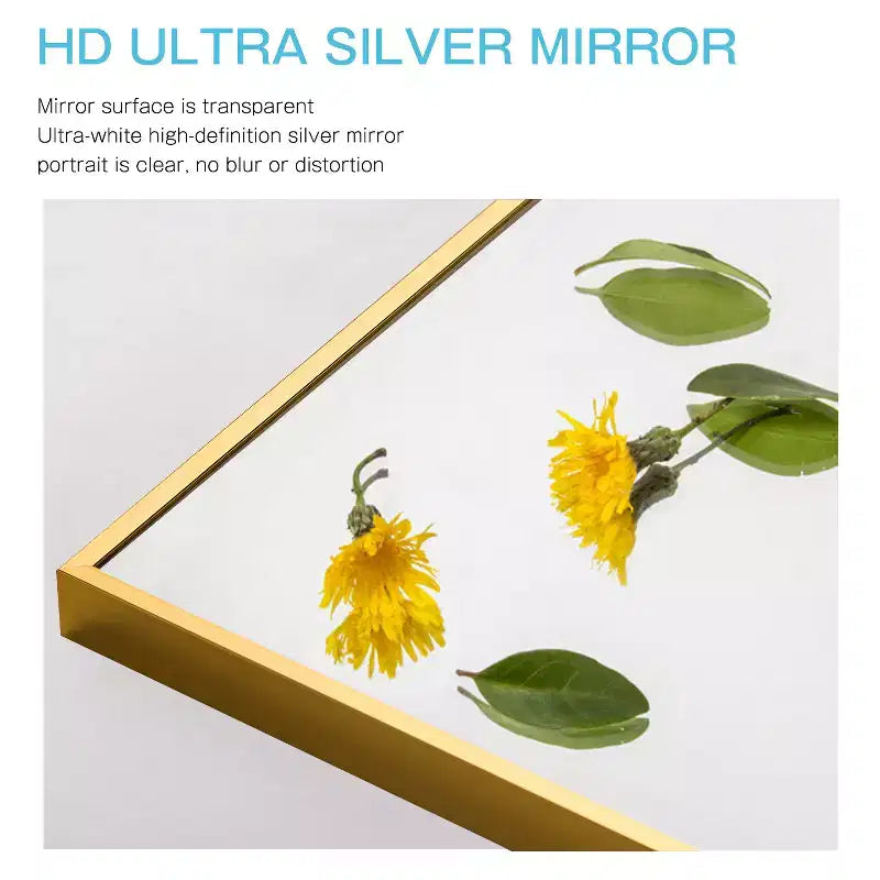 Miroir mural décoratif suspendu, rectangulaire moderne, en aluminium noir à bord fin