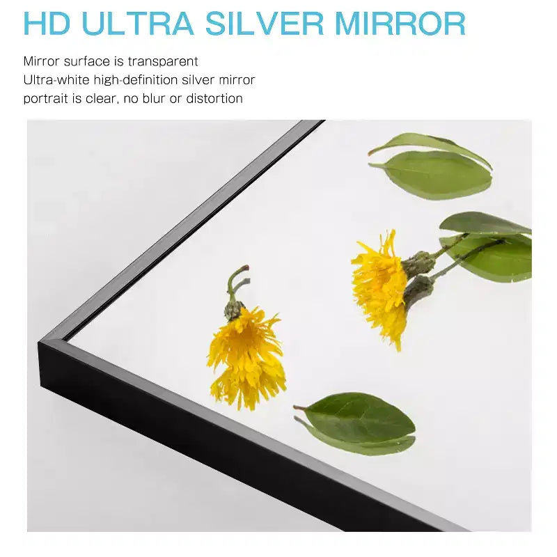 Miroir mural décoratif suspendu, rectangulaire moderne, en aluminium noir à bord fin