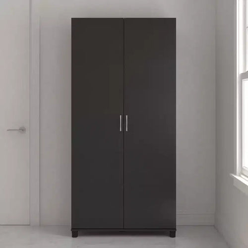Armoire de rangement utilitaire à 2 portes